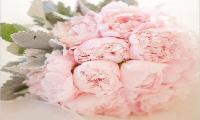 [화촉] 이성국 전 함양신협 이사장(김혜숙 김미용실 원장)의 딸 