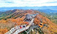 대봉산휴양밸리 임시 휴장...모노레일 선로 보수