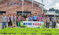 수동농협, 조합원에 김장용 배추모종 무상공급